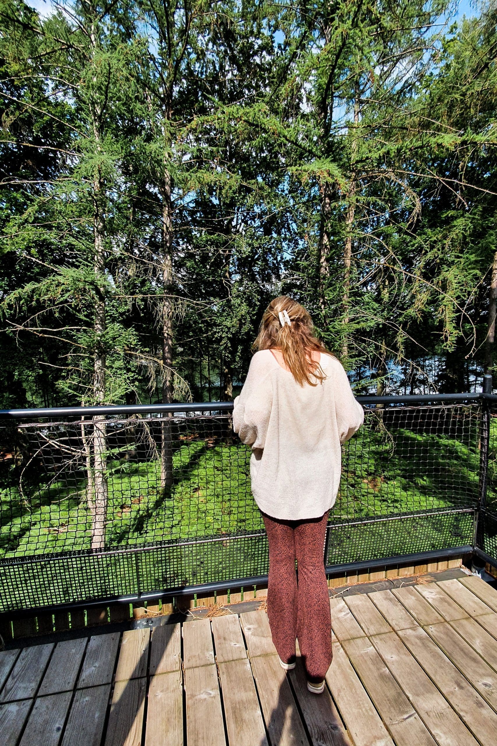 Ecoresort Your Nature The Treeloft