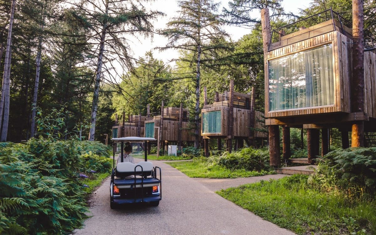 Ecoresort Your Nature The Treeloft