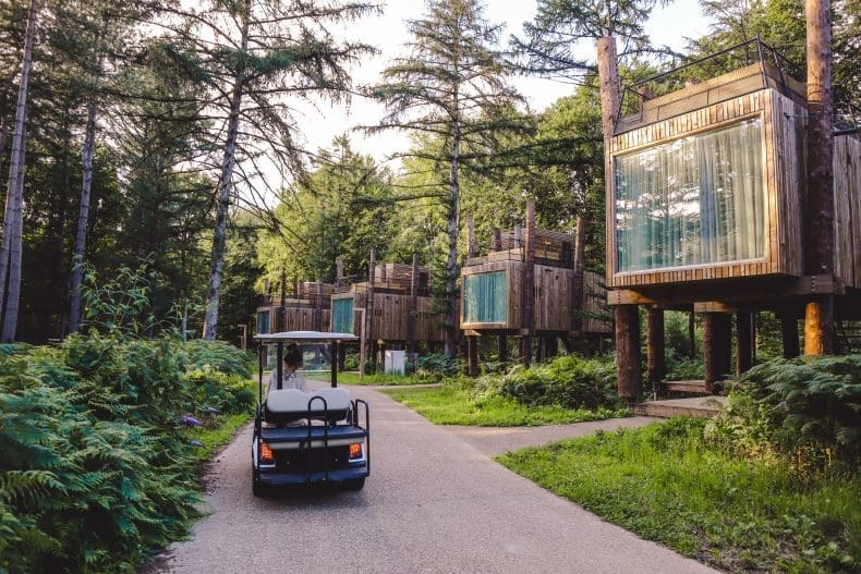 Ecoresort Your Nature The Treeloft