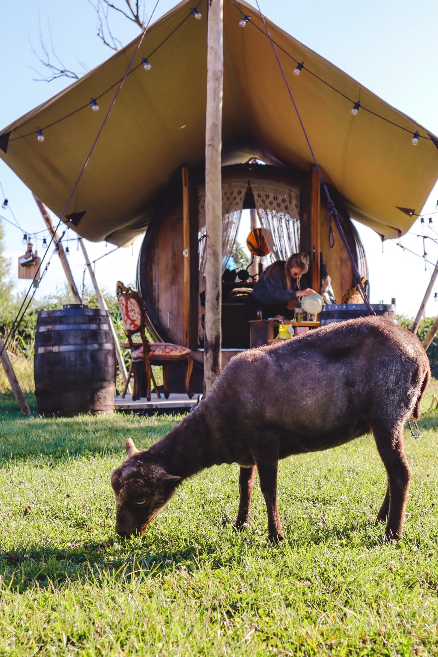 Villa Vagebond glamping Betuwe