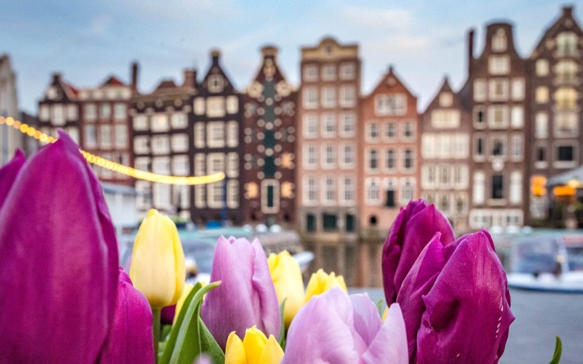 Amsterdam Canals