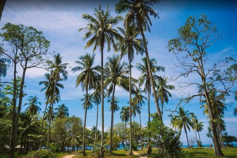 Koh Muk Thailand
