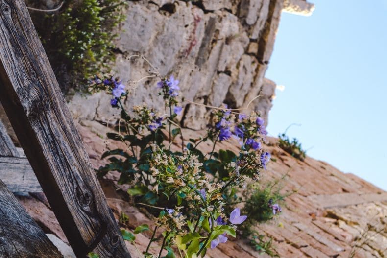 Stari Bar Montenegro