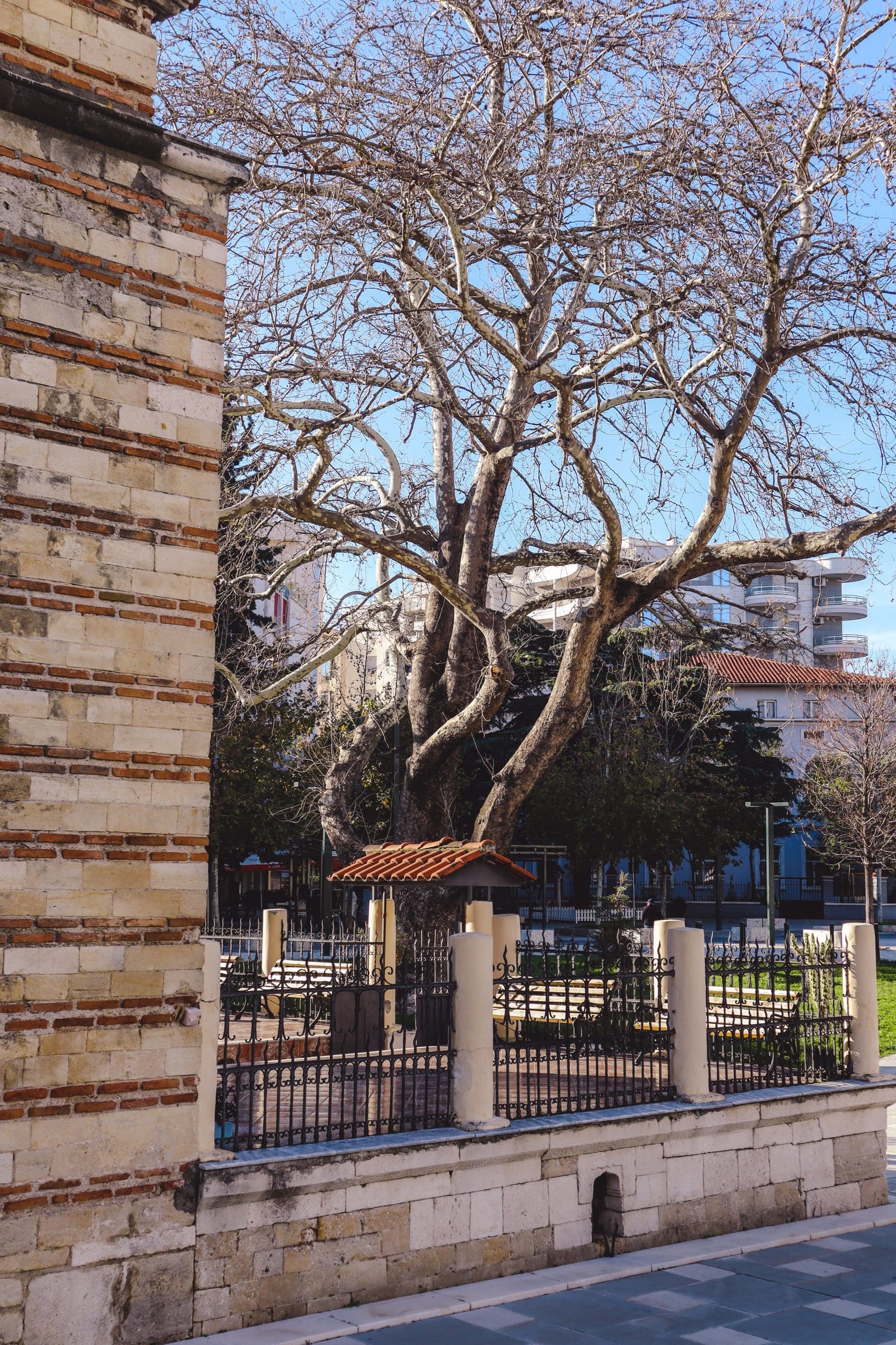 Muradie Mosque Vlore