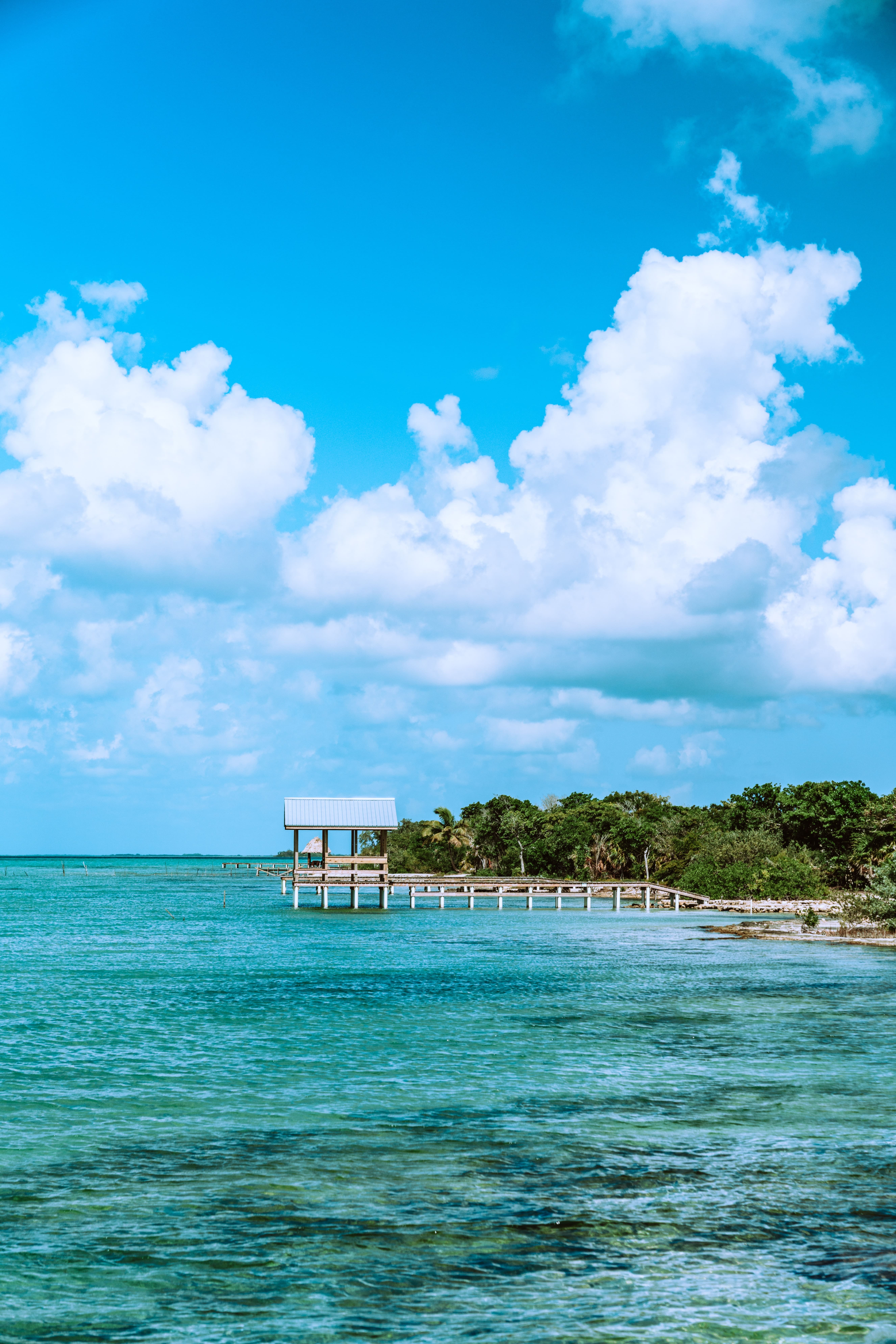 Belize Ambergris