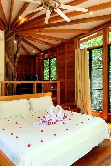San Ignacio Vanilla Hills Lodge