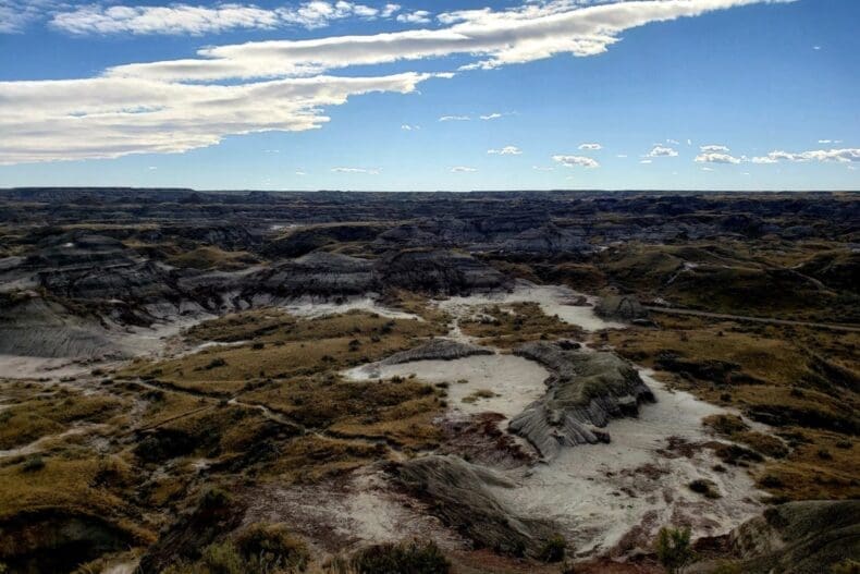 Dinosaur Provincial Park
