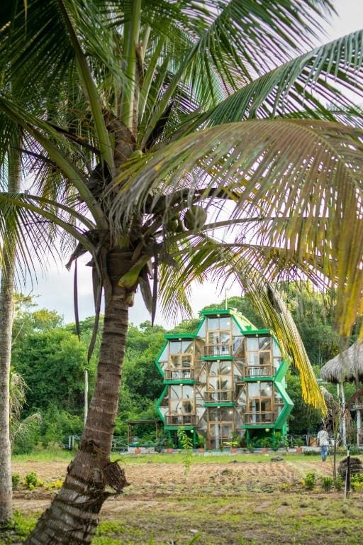 UUTTAAKA Eco-Hotel in Palomino