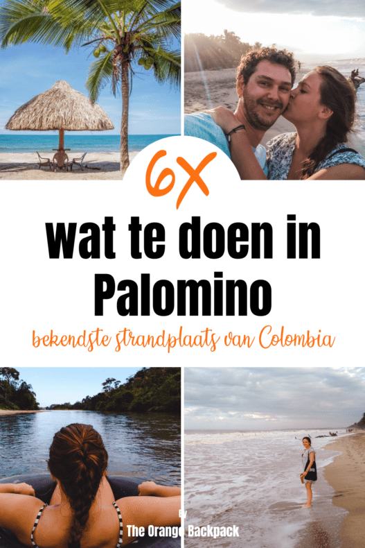 wat te doen in Palomino