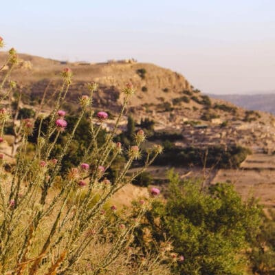 Dana Village