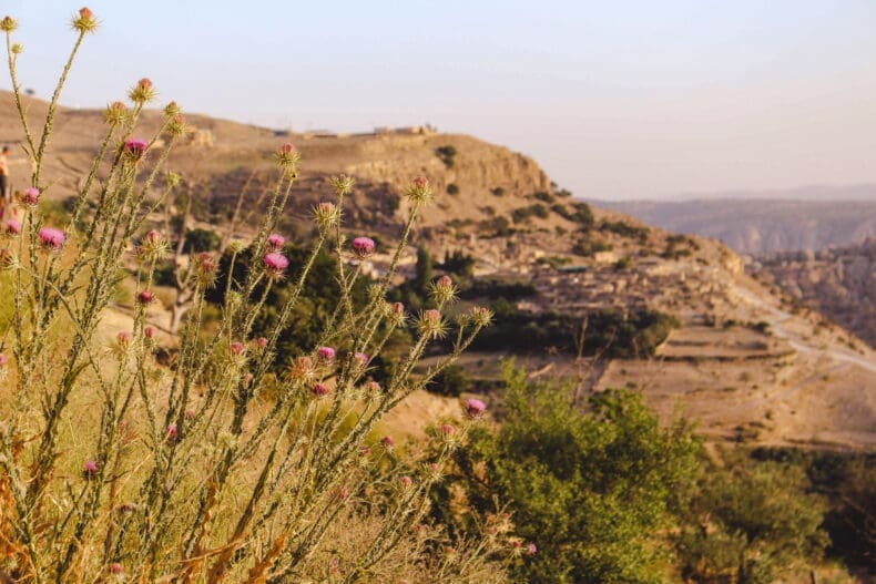 Dana Village