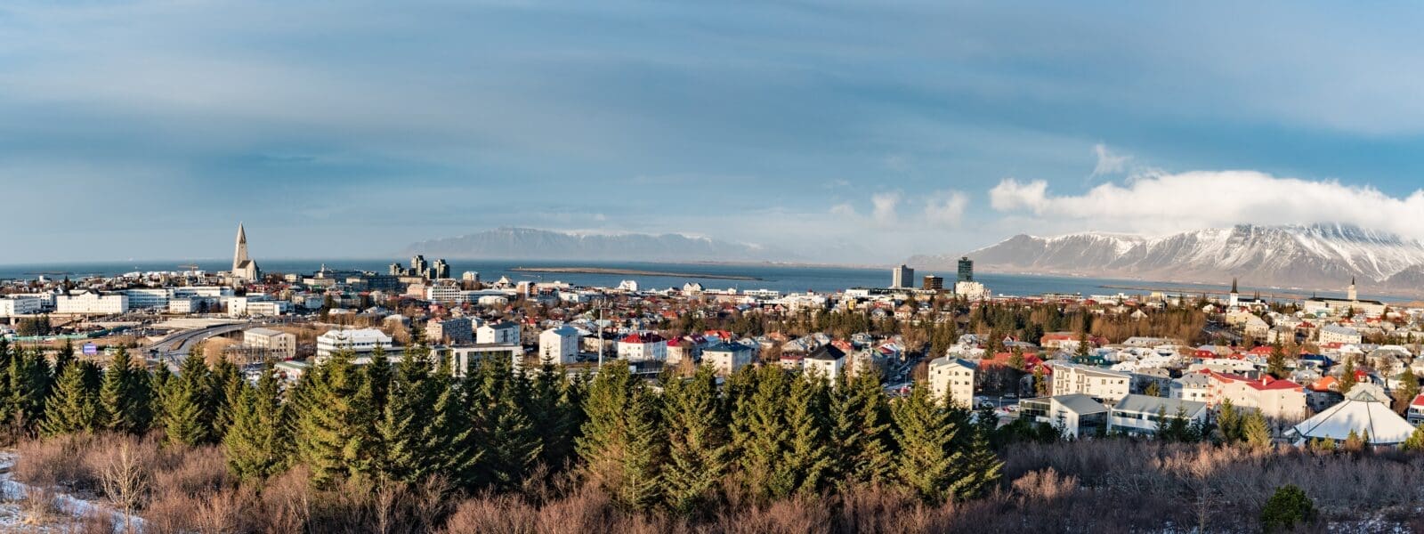 Wat te doen in Reykjavík: 22 bezienswaardigheden om niet te missen
