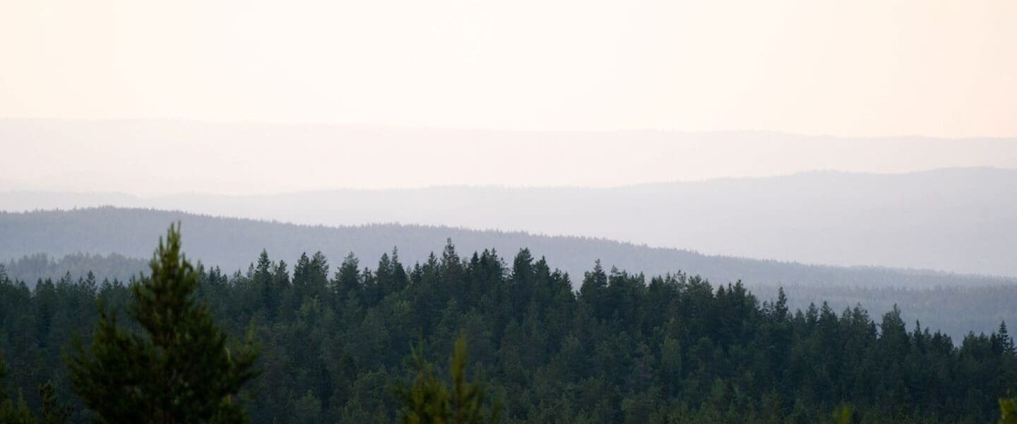 5x doen in Värmland, Zweden