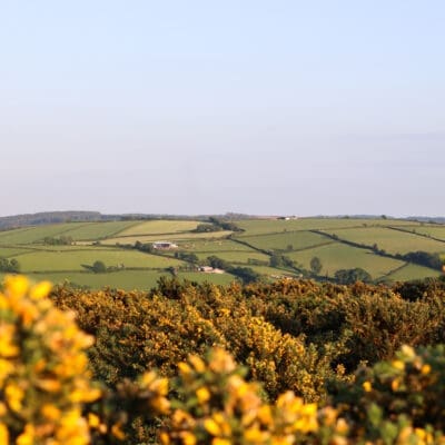 Bodmin Moor