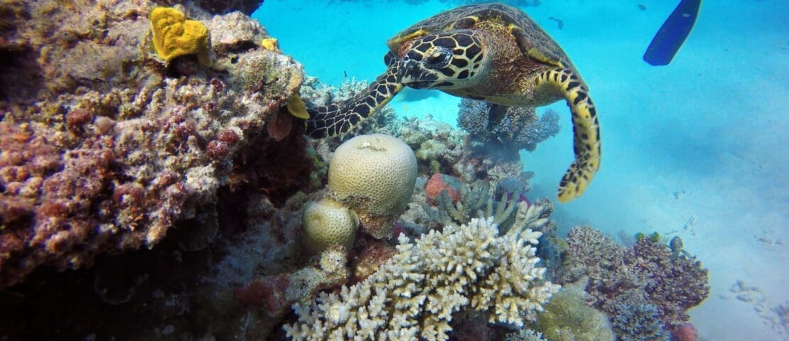 The 10 Most Unique Nature Travel Destinations