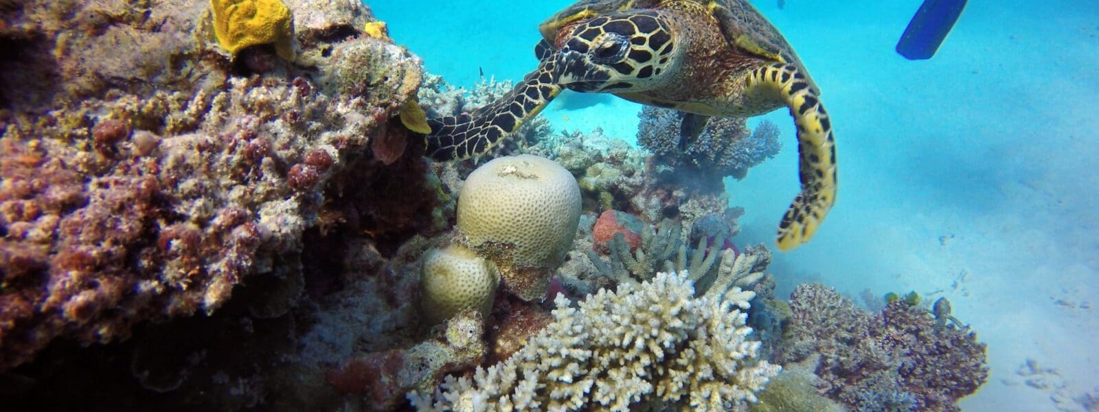 The 10 Most Unique Nature Travel Destinations