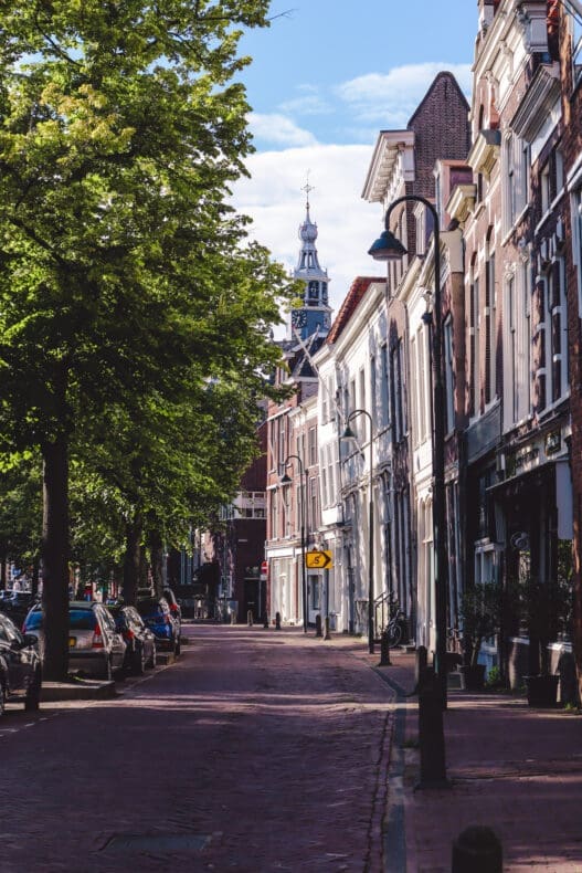 Gouda