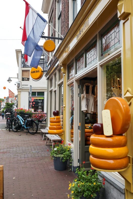 Gouda