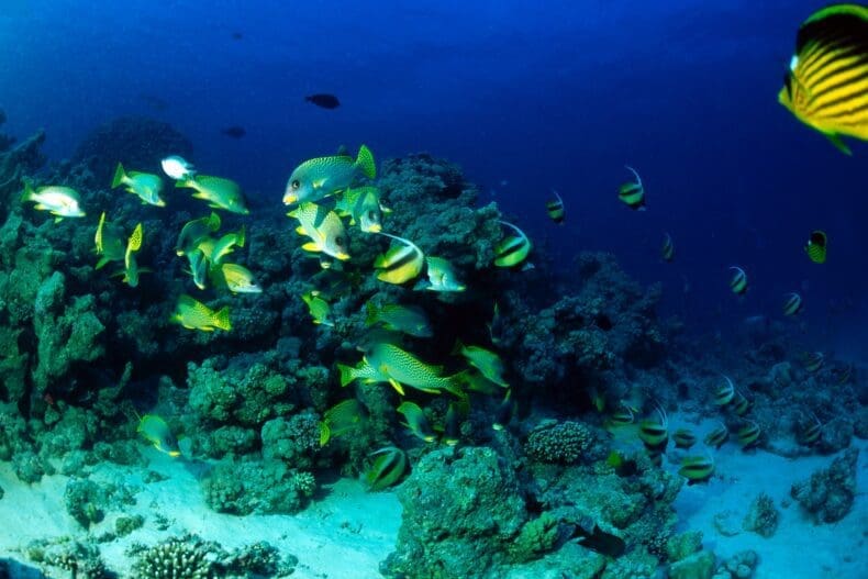 Hurghada Egypte
