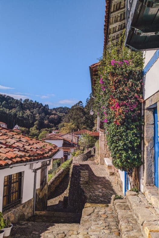 Tazones