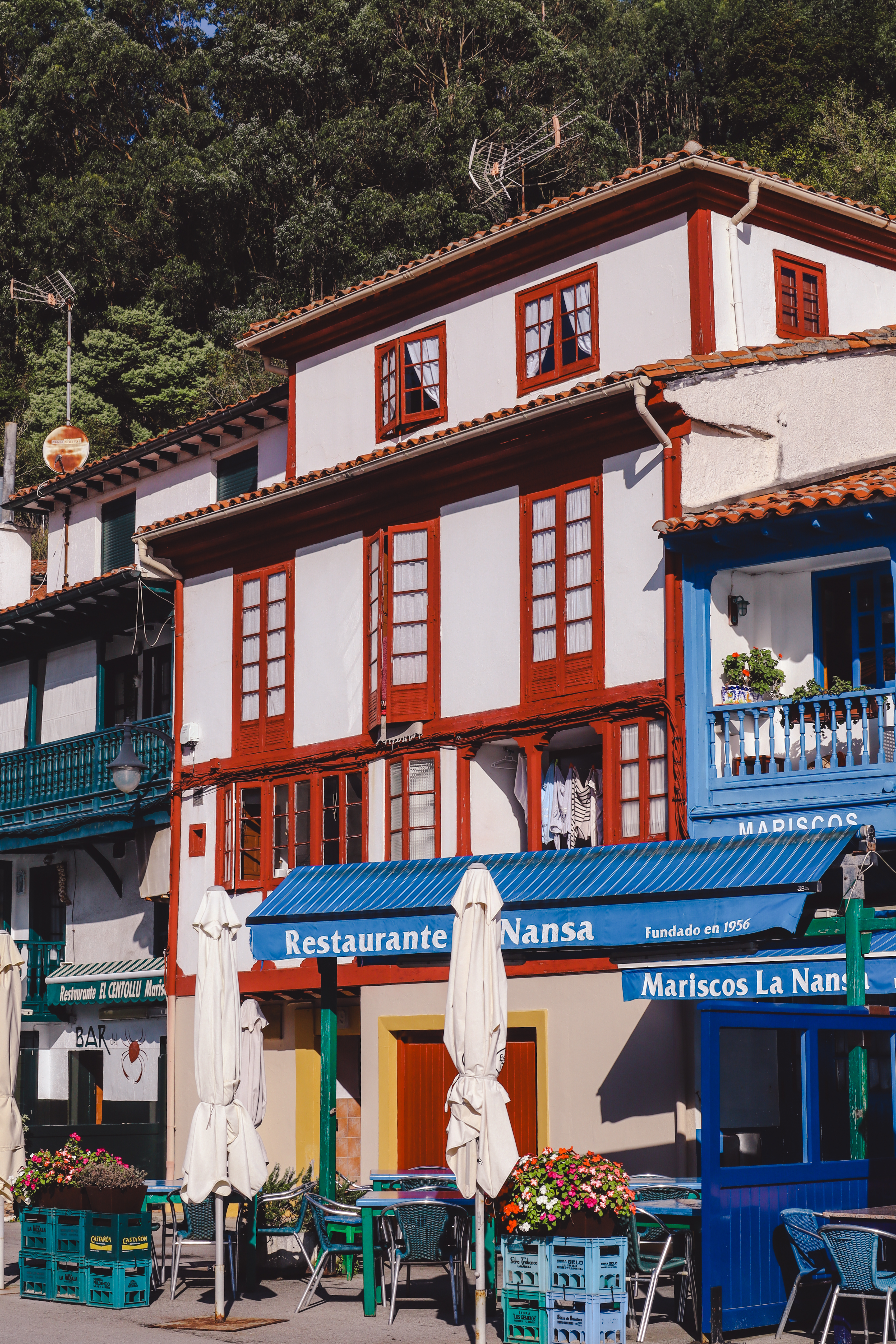 Tazones