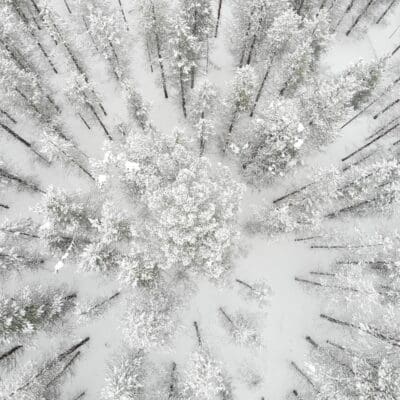 Lapland winter