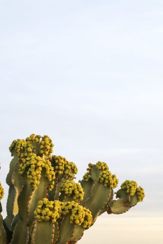 Agafay Desert