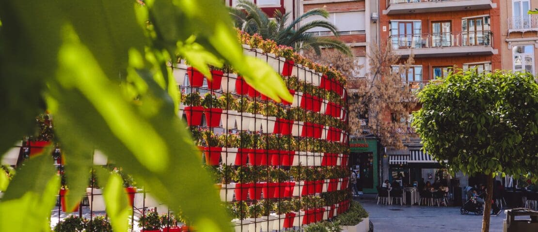 Where to stay in Murcia