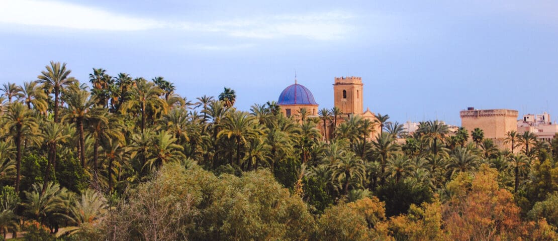 Discover Elche: Spain’s Enchanting City of Palm Trees