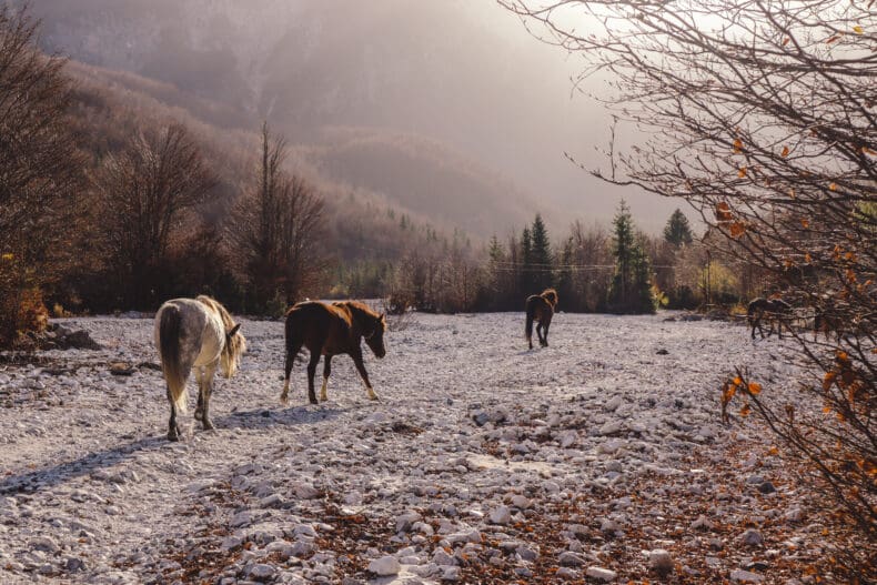 Valbone Valley National Park Albania