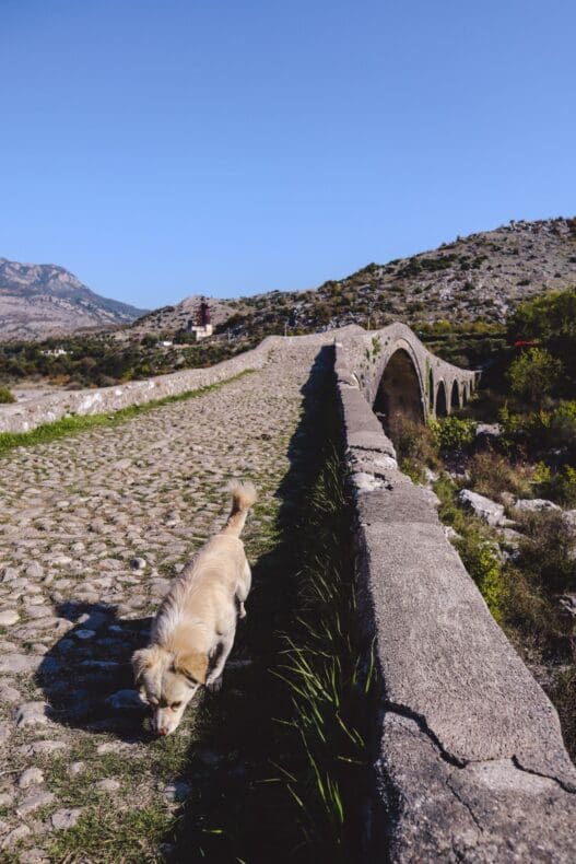 Mesi Bridge Shkoder