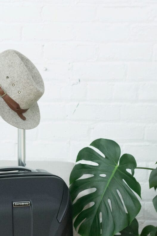 reizen met alleen handbagage 
