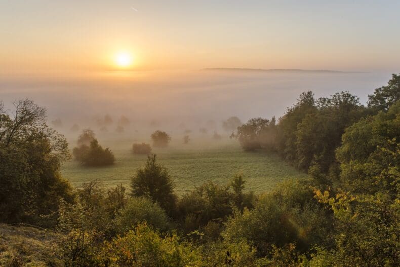 Biosfeerreservaat Bliesgau