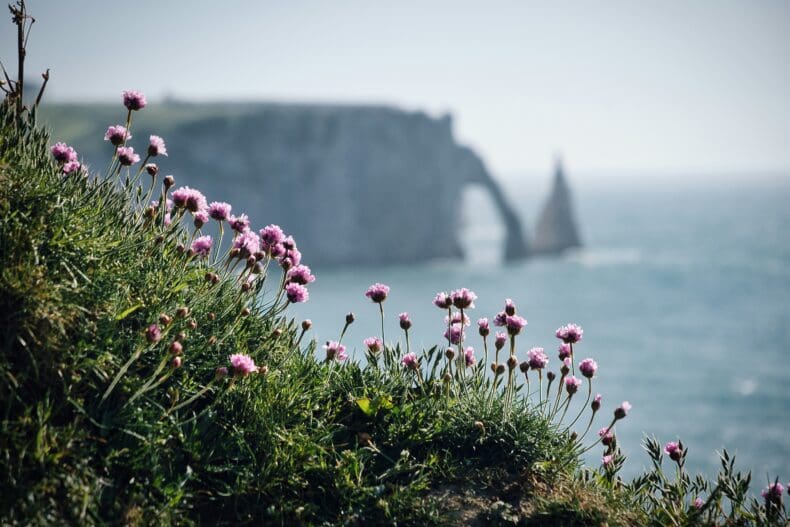 Etretat