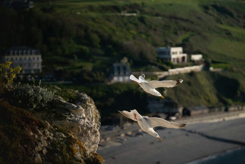 Etretat