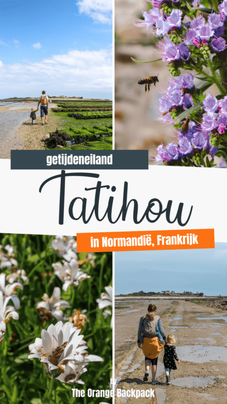 Ile Tatihou Normandie