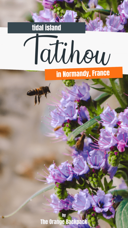 Tatihou Island France 