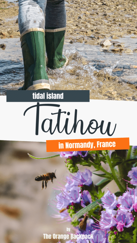 Tatihou Island France 