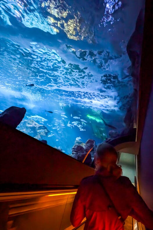 Gijon Aquarium