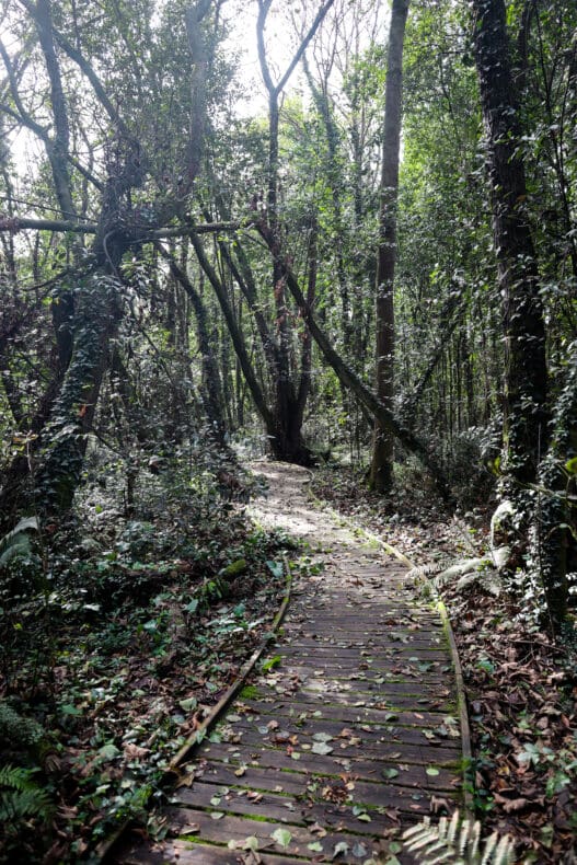 Jardín Botánico Atlántico Gijon