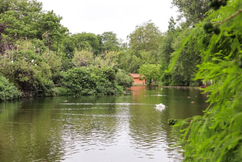 Parque Isabel La Católica Gijon