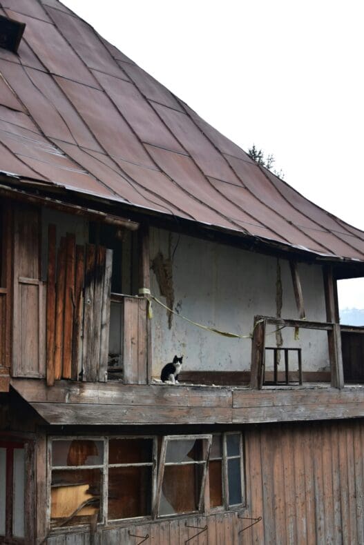 Jajce