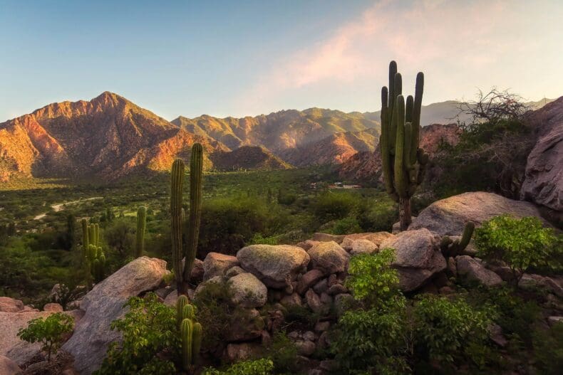 Salta