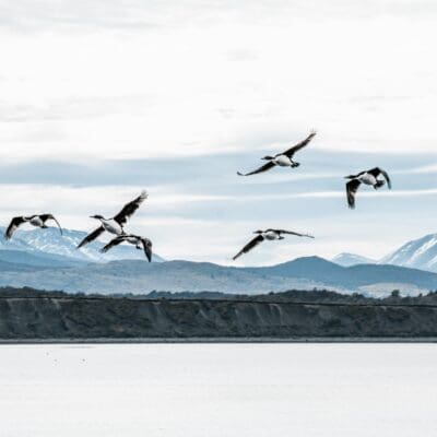 Ushuaia Tierra del Fuego