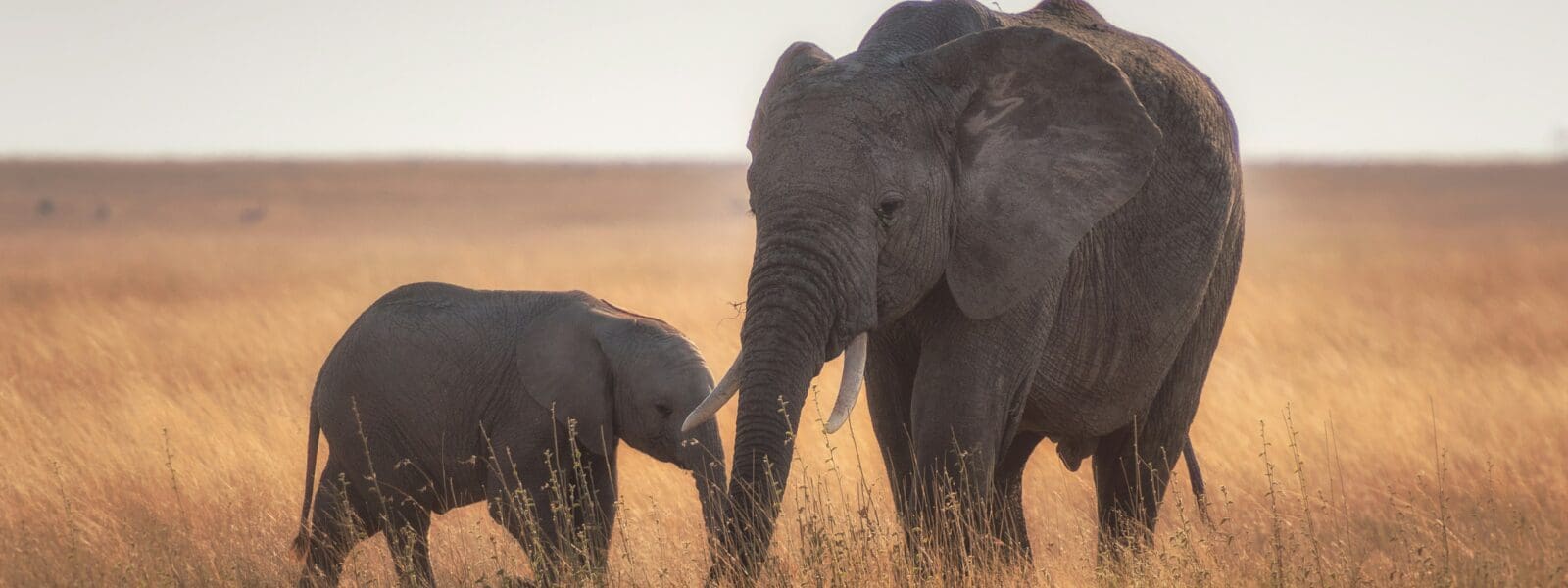 Wie is de Mol? in Tanzania: dé reisroute en locaties