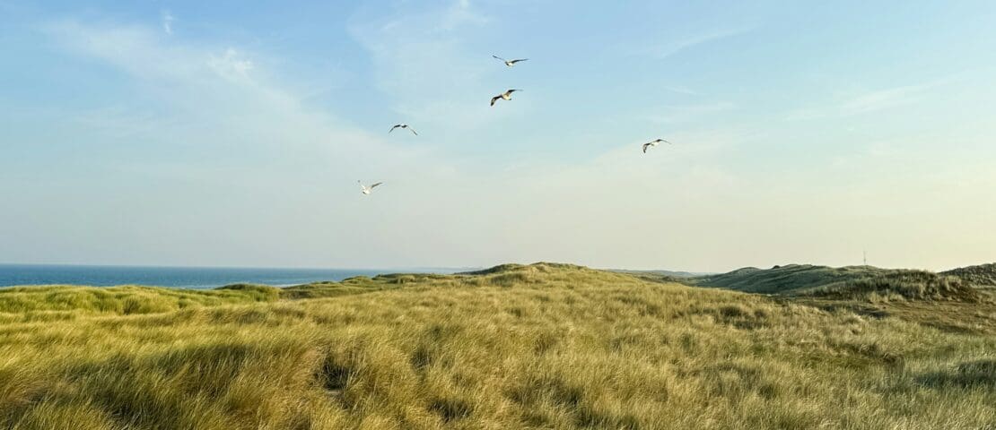 Wat te doen in Callantsoog