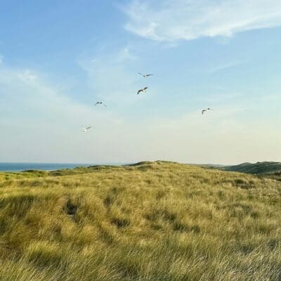 Callantsoog