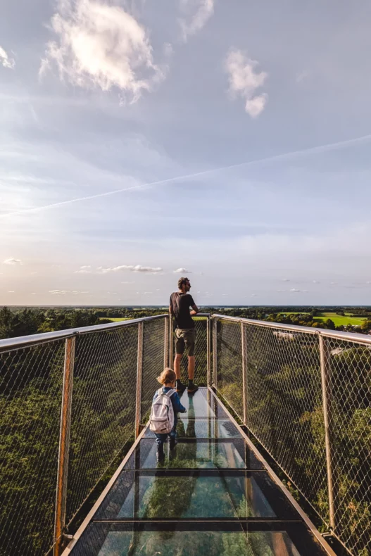Bosbergtoren-Appelscha