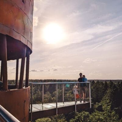 Bosbergtoren Appelscha Drents Friese Wold