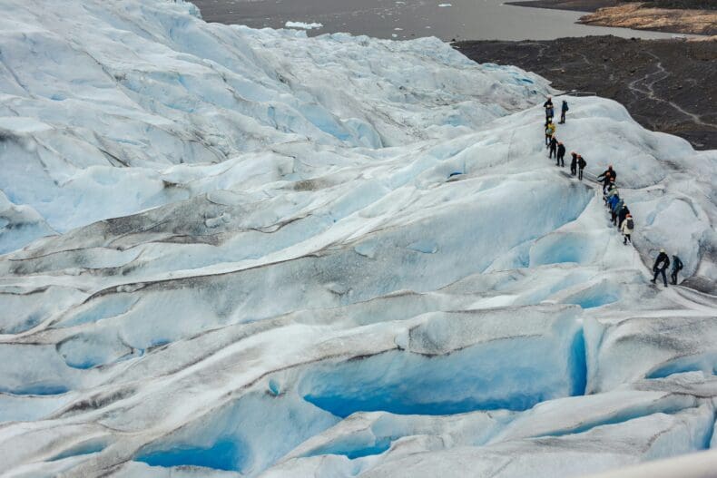 Calafate Perito Moreno